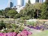 Sydney 010